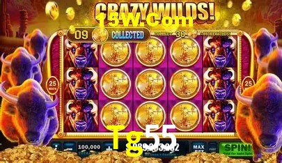 Tg55,Tg55 Bet Login